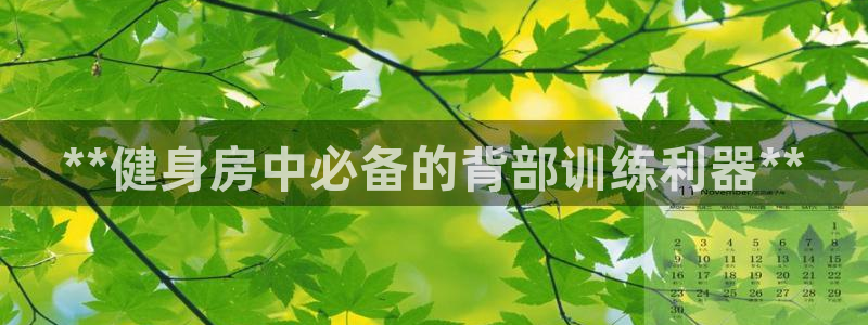 尊龙手机端下载：**健身房中必备的背部训练利器**