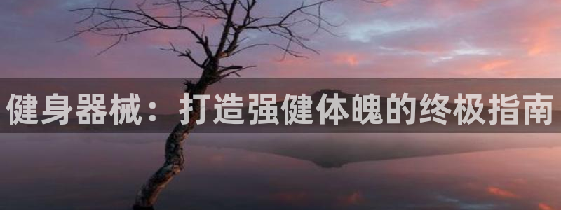 尊龙手机官方客户端下载安装：健身器械：打造强健体魄的