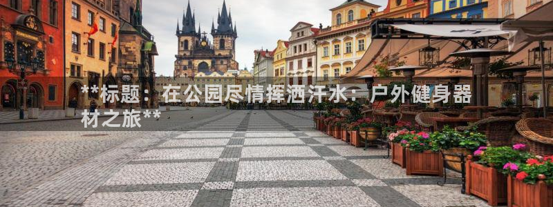 尊龙凯时有限公司：**标题：在公园尽情挥洒汗水：户外