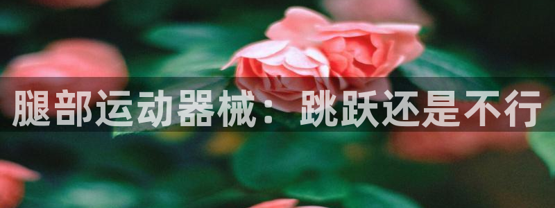 尊龙凯时平台信誉怎样：腿部运动器械：跳跃还是不行