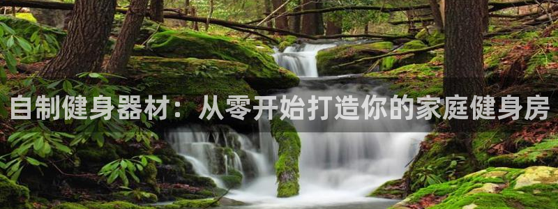 尊龙官方：自制健身器材：从零开始打造你的家庭健身房