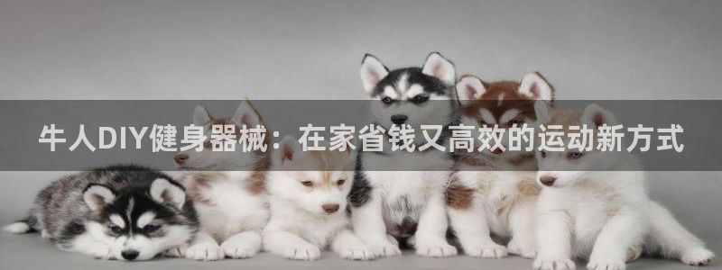 尊龙人生就是博网站下载