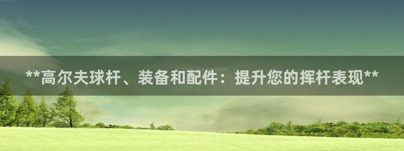 尊龙凯时怎么样没听说过：**高尔夫球杆、装备和配件：