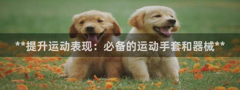 尊龙人生就是博旧版现金娱乐一下：**提升运动表现：必