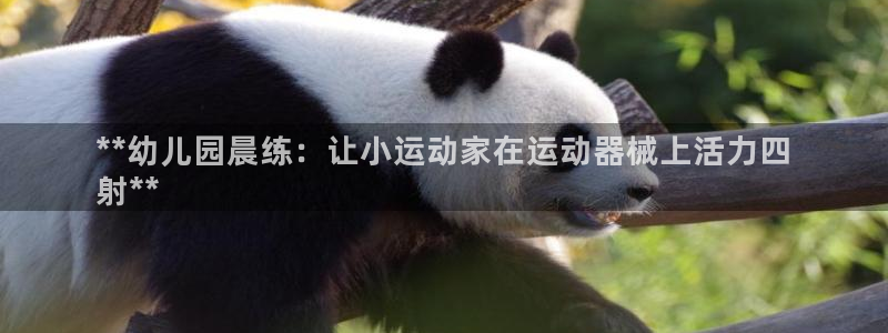 尊龙手机客户端下载APP：**幼儿园晨练：让小运动家