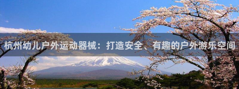 凯时kb88会员登录：杭州幼儿户外运动器械：打造安全