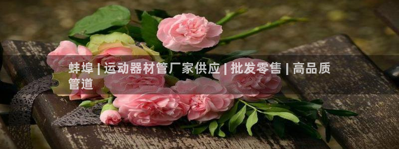 尊龙人生就是博ag旗舰厅：蚌埠 | 运动器材管厂家供