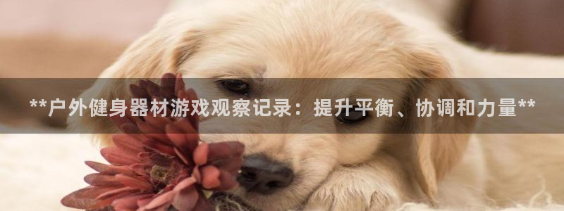 尊龙怎么没消息了：**户外健身器材游戏观察记录：提升