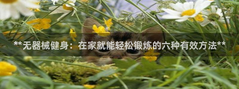 尊龙人生就是傅官网：**无器械健身：在家就能轻松锻炼
