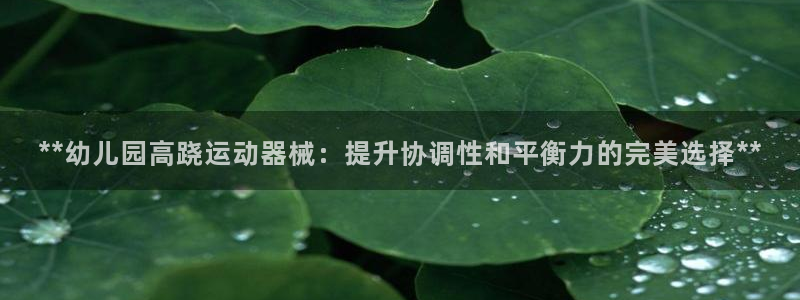 尊龙游戏官方网：**幼儿园高跷运动器械：提升协调性和