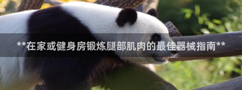 尊龙凯时登陆入口：**在家或健身房锻炼腿部肌肉的最佳