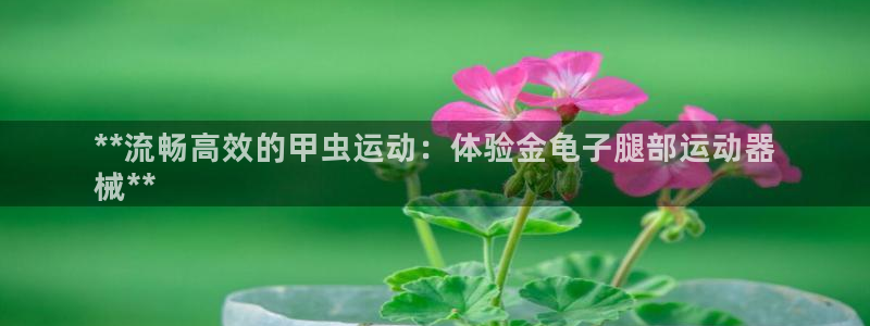 尊龙怎么没消息了