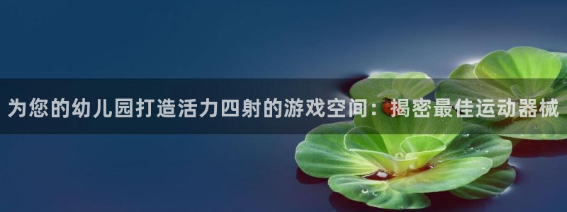 尊龙凯时官网平台：为您的幼儿园打造活力四射的游戏空间