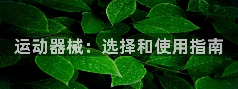 尊龙凯时邀请码：运动器械：选择和使用指南