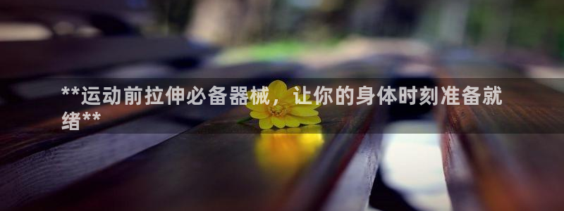 尊龙凯时白家乐：**运动前拉伸必备器械，让你的身体时