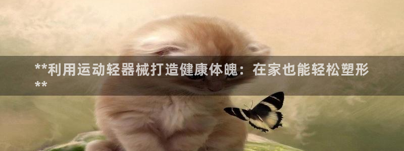 尊龙凯时网：**利用运动轻器械打造健康体魄：在家也能