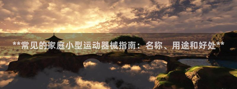 尊龙凯时导航菜单首页：**常见的家庭小型运动器械指南