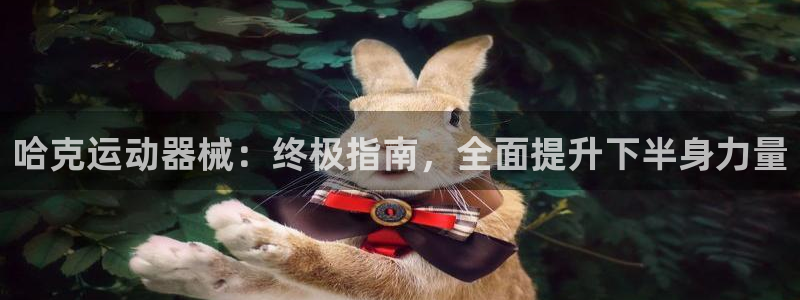 香港尊龙：哈克运动器械：终极指南，全面提升下半身力量