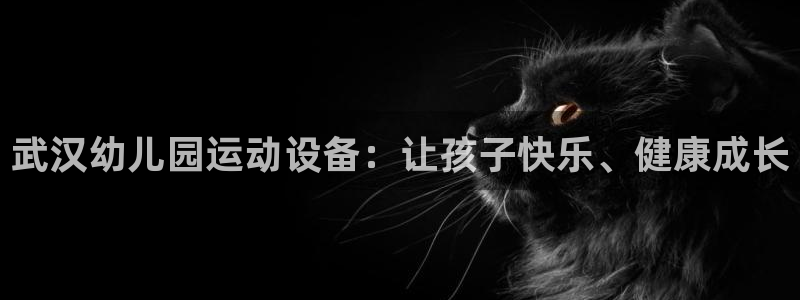 尊龙官网免费下载安装：武汉幼儿园运动设备：让孩子快乐