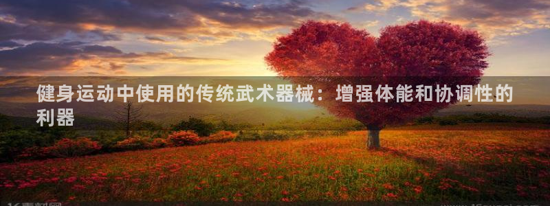 z6尊龙官方网站：健身运动中使用的传统武术器械：增强