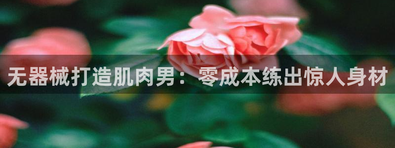 凯时K8国际