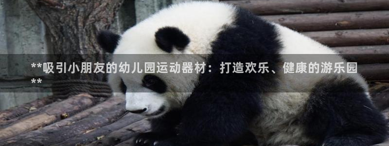 尊龙t600：**吸引小朋友的幼儿园运动器材：打造欢