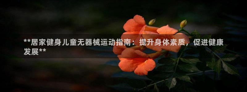 尊龙凯时 人生就是搏：**居家健身儿童无器械运动指南