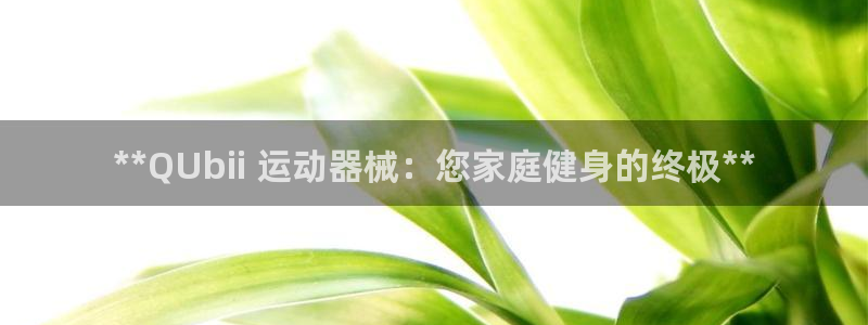 尊龙凯时企业文化：**QUbii 运动器械：您家庭健