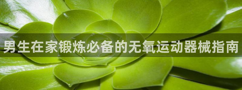 尊龙凯时ag旗舰厅官网客服：男生在家锻炼必备的无氧运
