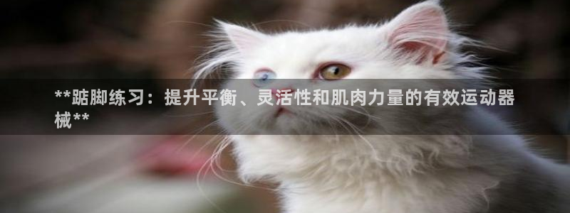 d88尊龙手机客户端下载：**踮脚练习：提升平衡、灵