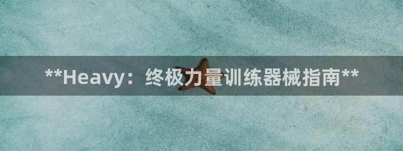 尊龙凯时登陆：**Heavy：终极力量训练器械指南*