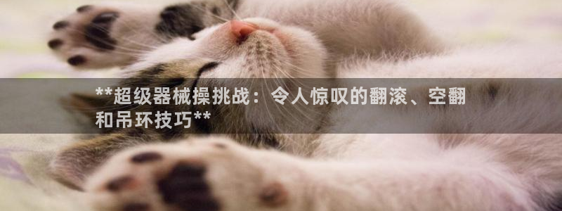 尊龙凯时网站怎么样：**超级器械操挑战：令人惊叹的翻滚、空翻