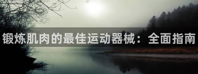 尊龙凯时登录：锻炼肌肉的最佳运动器械：全面指南