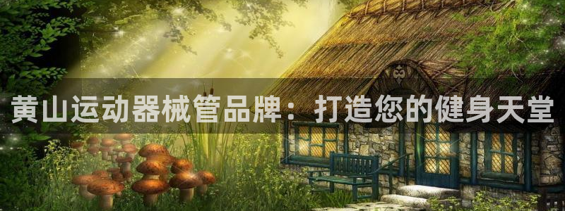 凯时登录界面：黄山运动器械管品牌：打造您的健身天堂