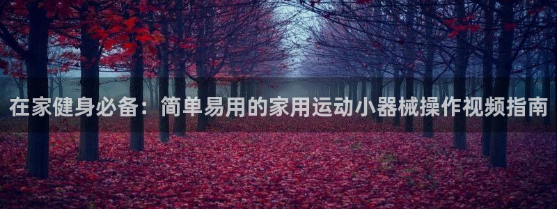 尊龙凯时请求参数不符合：在家健身必备：简单易用的家用运动小器