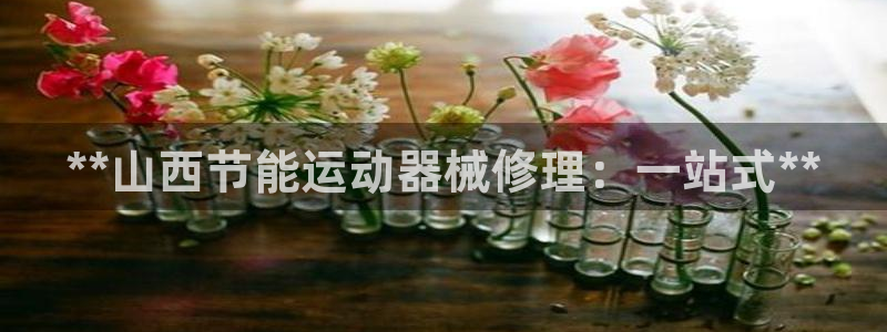 尊龙凯时福米推荐人：**山西节能运动器械修理：一站式
