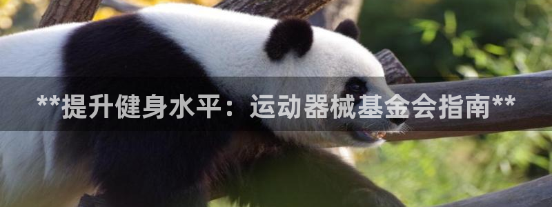尊龙凯时是直营吗