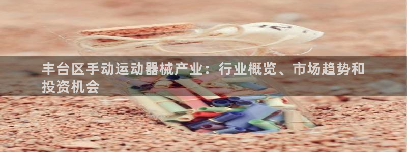 尊龙凯时干什么的：丰台区手动运动器械产业：行业概览、
