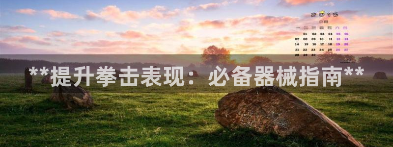 尊龙凯时请求参数不符合：**提升拳击表现：必备器械指南**