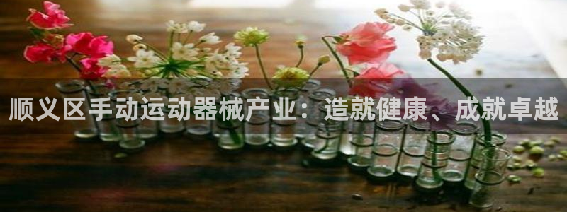 尊龙凯时赢不了：顺义区手动运动器械产业：造就健康、成就卓越