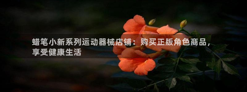 尊龙D88现金旧版：蜡笔小新系列运动器械店铺：购买正版角色商
