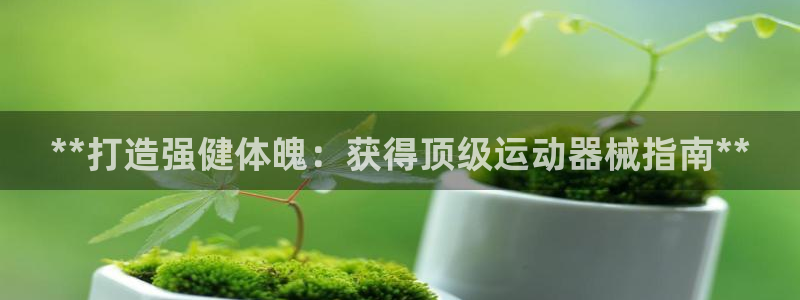 尊龙z6官网：**打造强健体魄：获得顶级运动器械指南