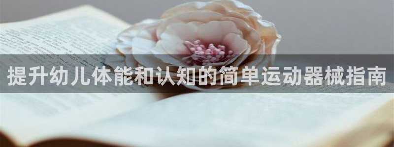 尊龙凯时防屏蔽网址：提升幼儿体能和认知的简单运动器械