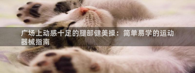 尊龙凯时：广场上动感十足的腿部健美操：简单易学的运动
