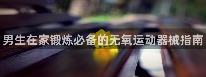 尊龙游戏官方网：男生在家锻炼必备的无氧运动器械指南