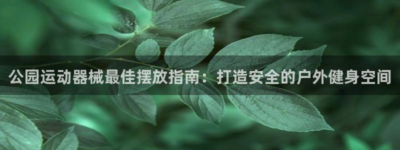 尊龙app登录不了：公园运动器械最佳摆放指南：打造安