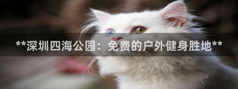尊龙165：**深圳四海公园：免费的户外健身胜地**