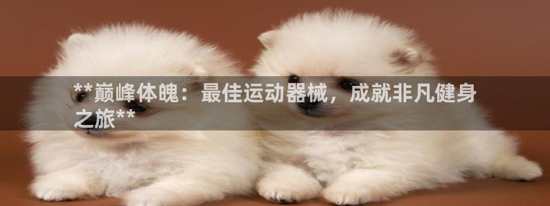 尊龙凯时投诉最狠的方法：**巅峰体魄：最佳运动器械，