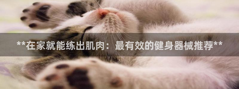 尊龙集团有限公司招聘：**在家就能练出肌肉：最有效的