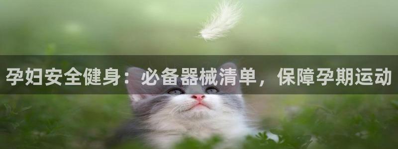 凯时游戏app：孕妇安全健身：必备器械清单，保障孕期